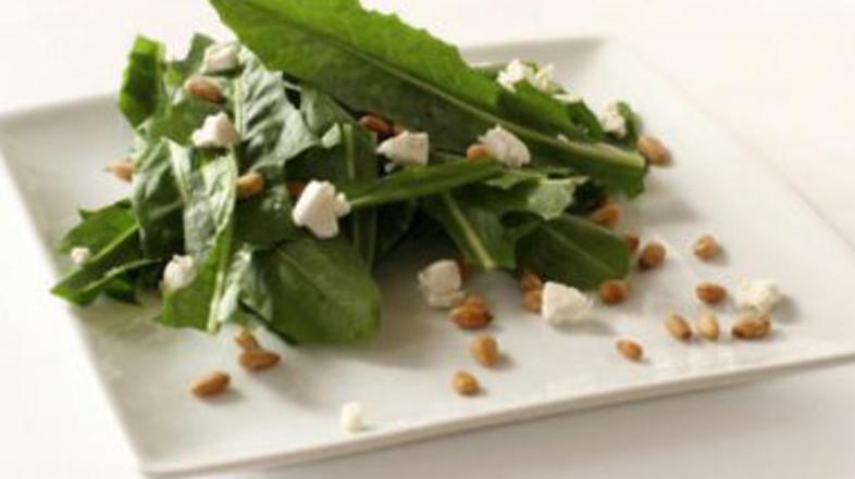 (Foto: Shutterstock)