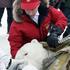 Vladimir Putin, polarni medved