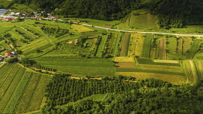 pogled na vipavsko dolino iz zraka