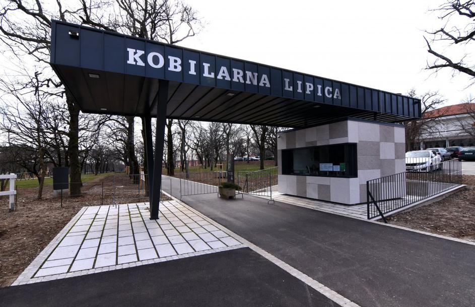 Kobilarna Lipica