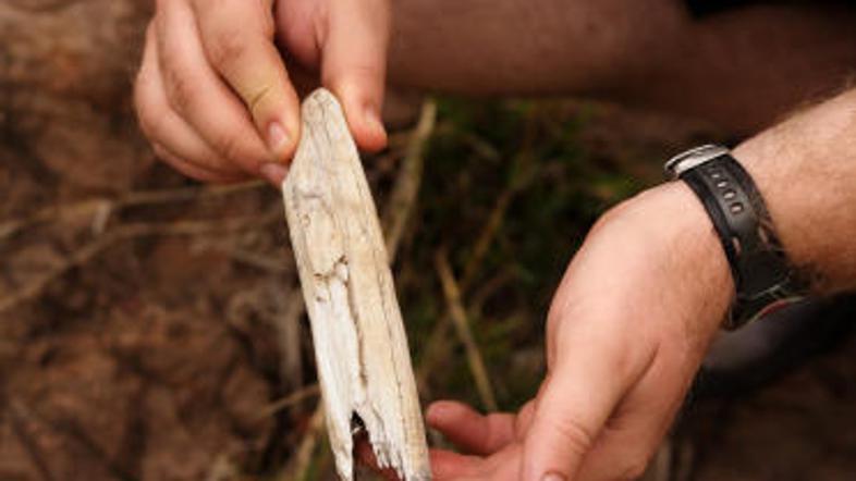 Fotografija je simbolična. (Foto: iStockphoto)