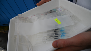 Covid-19, cepljenje, Slovenija, UKC Maribor