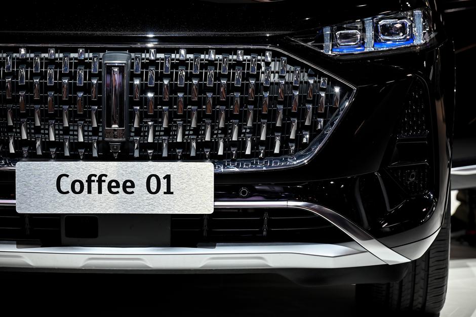 Kitajski Wey na avtosalonu IAA v Münchnu | Avtor: Epa