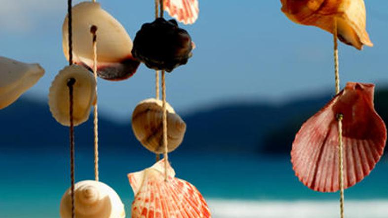 Zvončke iz školjk lahko naredite tudi sami.