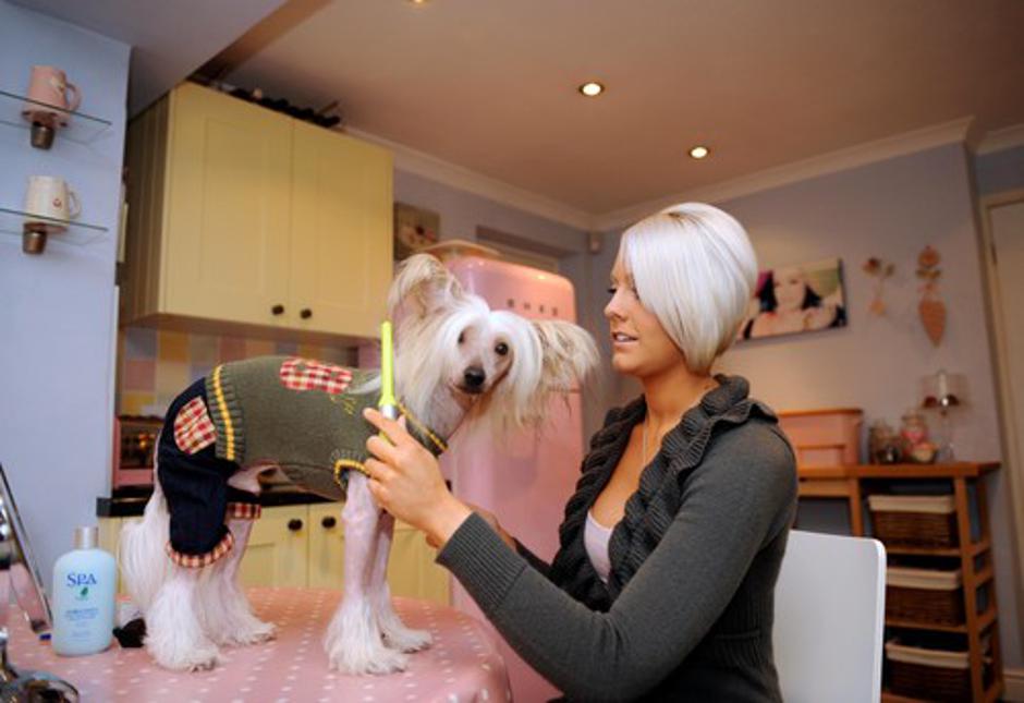 Pes pri frizerju | Avtor: Profimedias