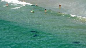 Na Novi Zelandiji so posneli grozljivo fotografijo, ki prikazuje, da so se nekaj