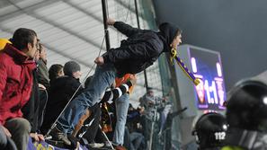 navijač viole Maribor Olimpija