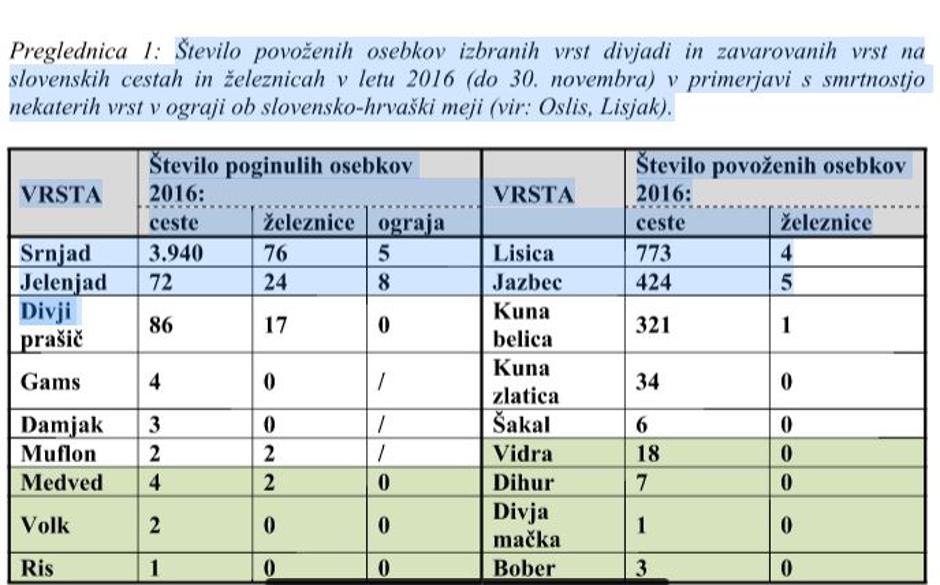 Povožene živali v Sloveniji | Avtor: LZS