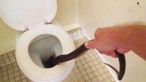 Kača na stranišču