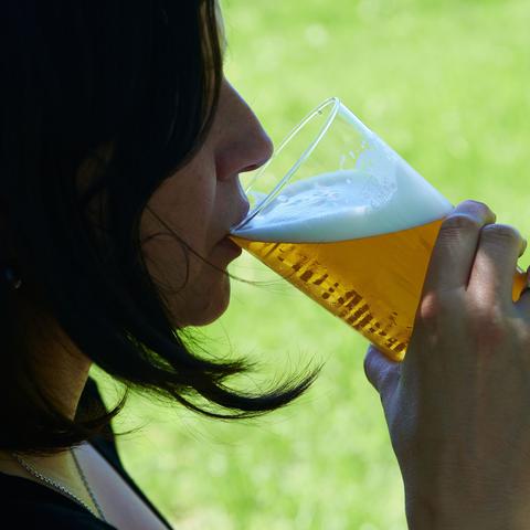 pivo