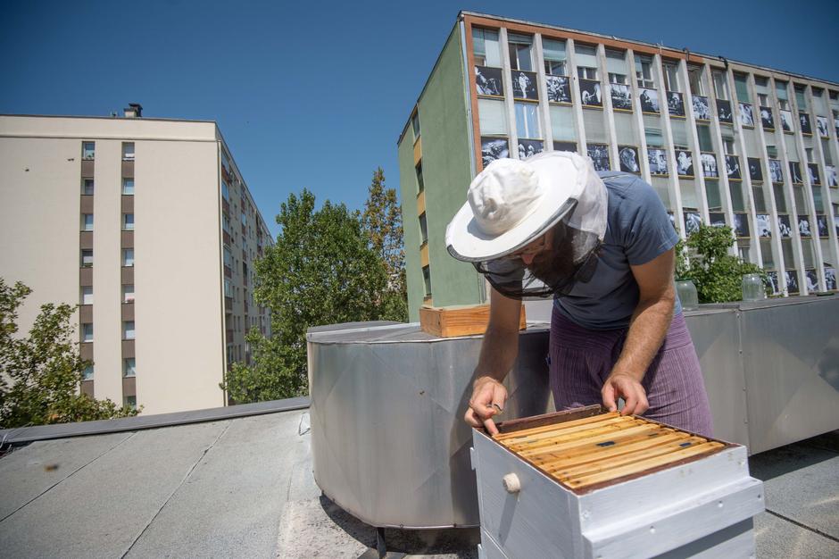 Peter Pečenko, urbani čebelar. | Avtor: Anže Petkovšek