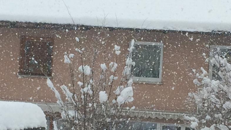 Novo sneženje na Gorenjskem