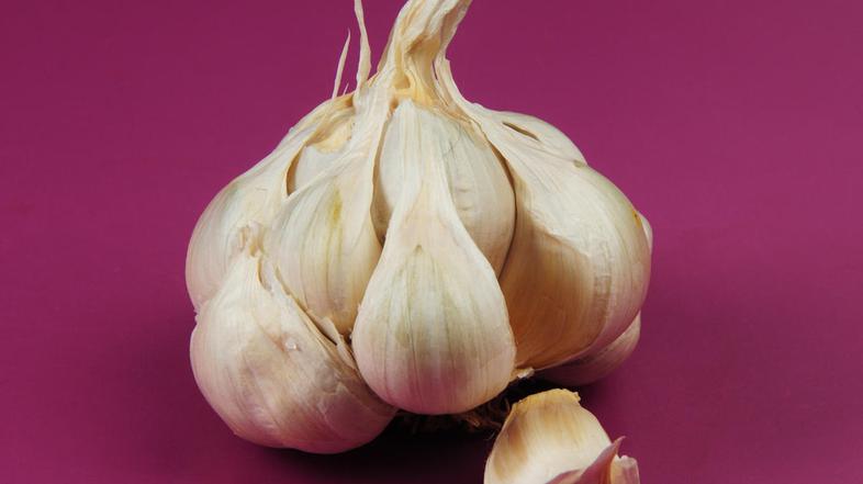 (Foto: Shutterstock)