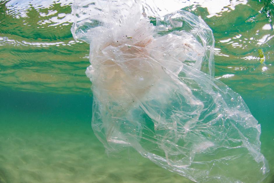 Plastika v oceanu | Avtor: Profimedia