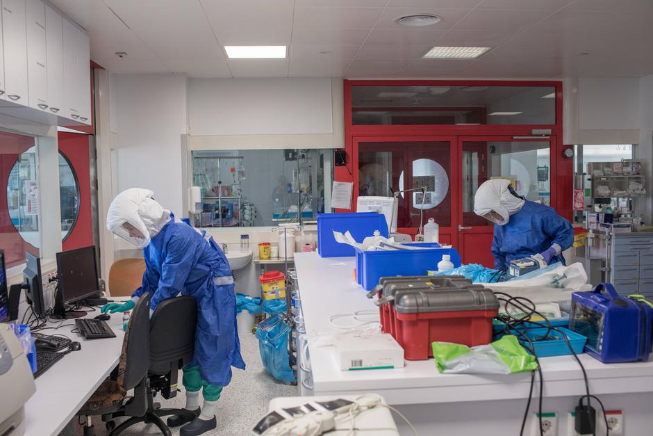 covid-19 UKC | Avtor: UKC LJ