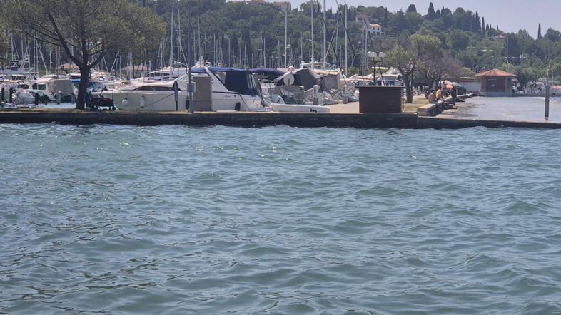 Portoroška plaža, onesnažena z nafto
