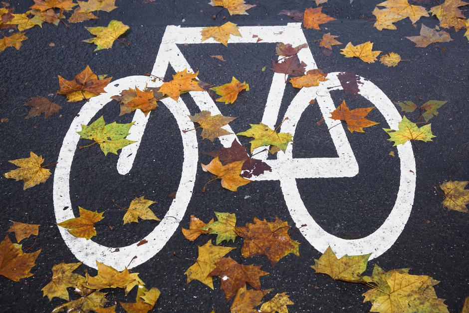 kolo kolesarjenje | Avtor: Shutterstock