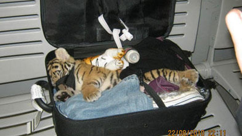 (Foto: Letališče Suvarnabhu/Tajska)