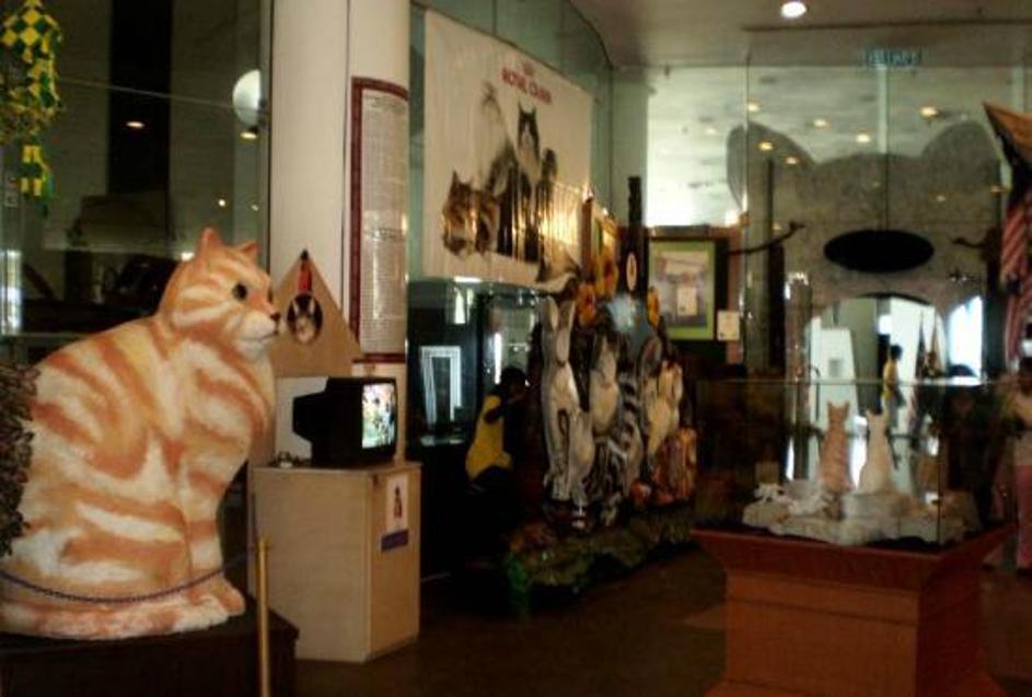Кот в музее