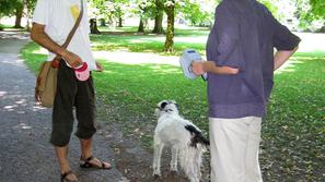 Lastniki psov so akcijo večinoma pozdravljali, nekateri kršitelji pa so se tudi 