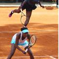venus serena williams