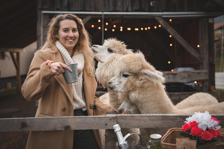 alpaka, alpaka land | Avtor: Alpaka Land