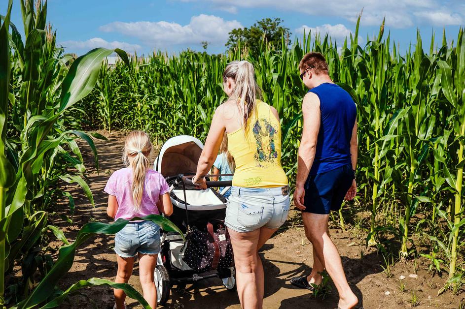 koruzni labirint Krtina