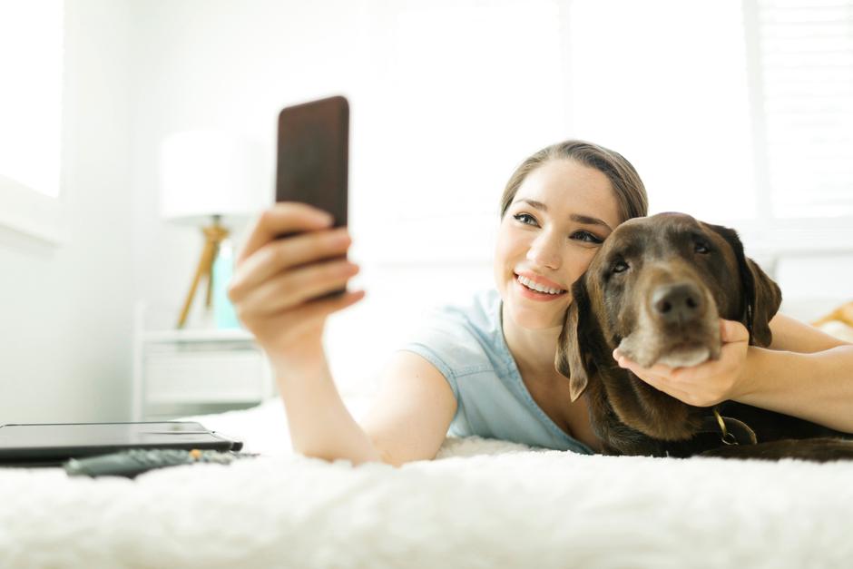 Selfi, pes, mobilni telefon | Avtor: Profimedia