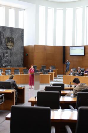 državni zbor izredna seja