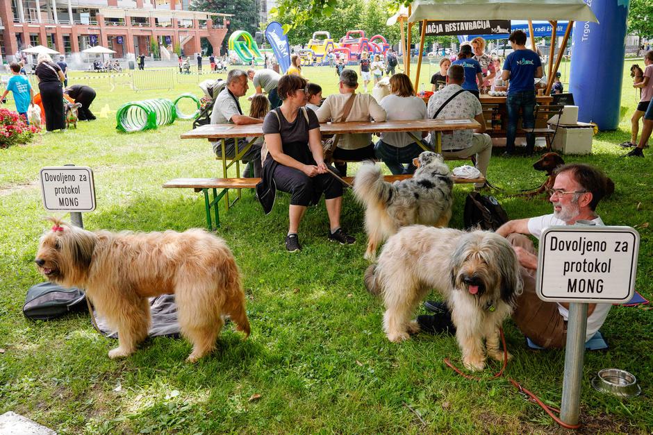 festival za ljubitelje živali | Avtor: Matija Janezic
