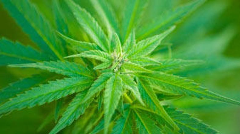 Slabo vpliva na libido.