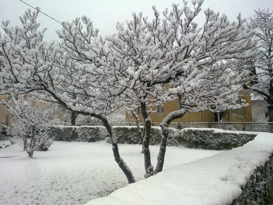 Sneg v Koroški Beli