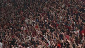 KK Crvena zvezda navijači Pionir