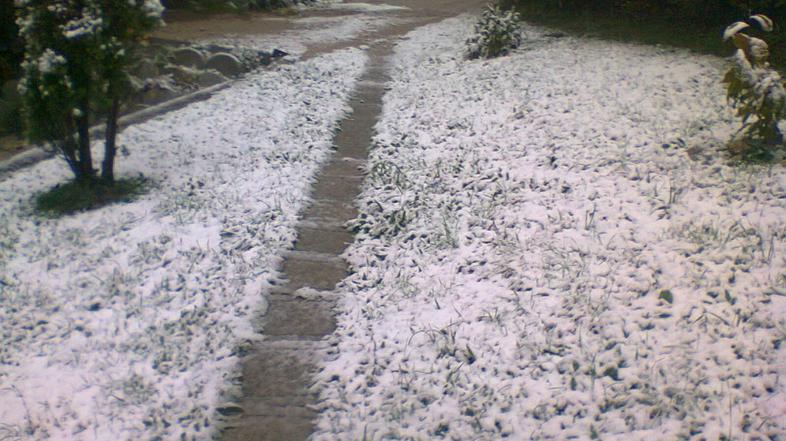 Slovenijo pobelil sneg.