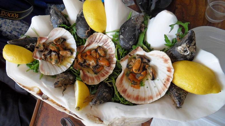 Klapavice ali pedoči