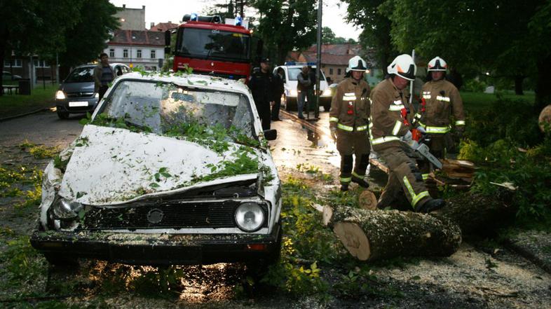 V neurju zrušeno drevo v hrvaškem Karlovcu