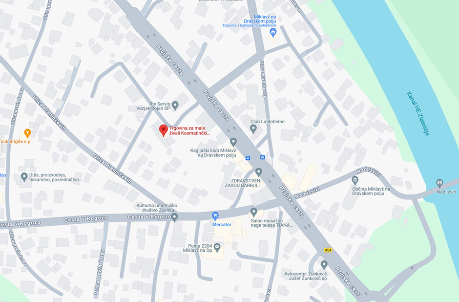 Kosmatinčki.si | Avtor: Kosmatincki.si