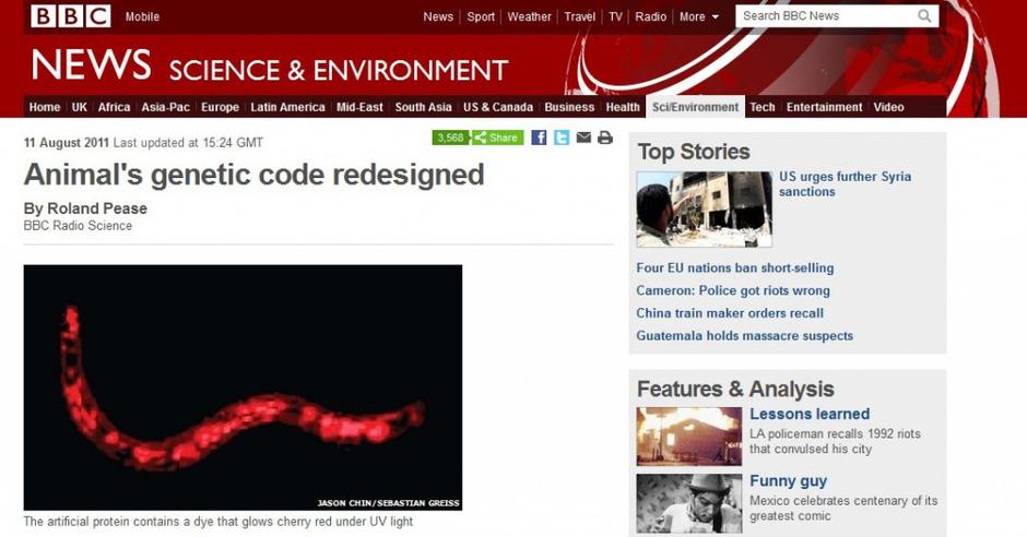 črv, genski zapis, Cambridge | Avtor: BBC