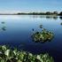 Pantanal, Brazilija