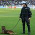 policija policist policijski pes incident izgred navijači navijaci