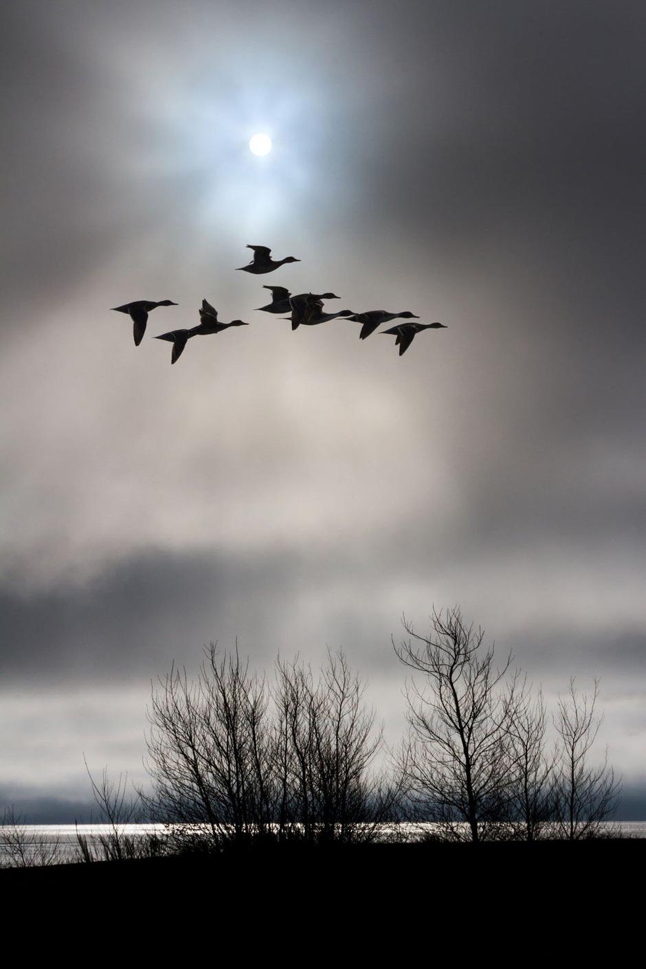 Oblačno vreme | Avtor: Profimedia