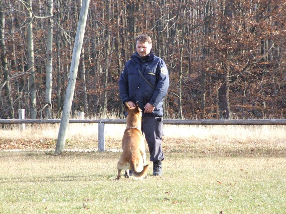 policijski pes | Avtor: Štefan Vajd