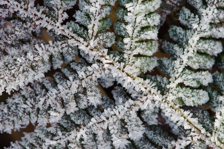 Slana | Avtor: Profimedia