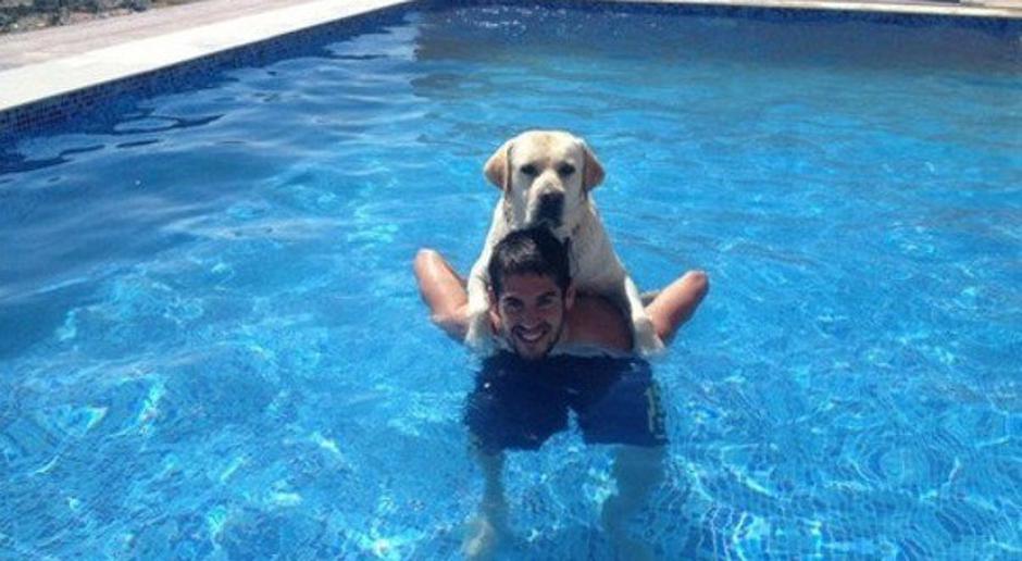 isco pes | Avtor: Reševalni pas/Twitter