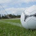žoga nogomet