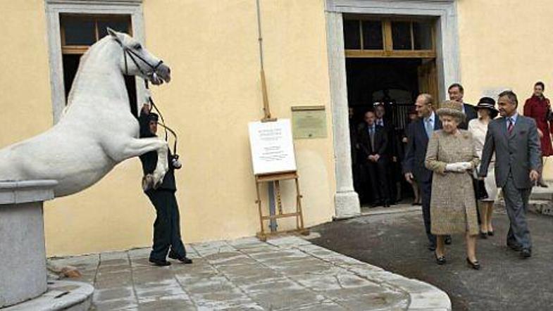 Kanizo se ni pomiril niti po treh krogih priboljškov, piše Times. Kraljice pa mu