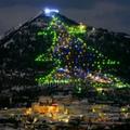 božično drevo rekord Italija