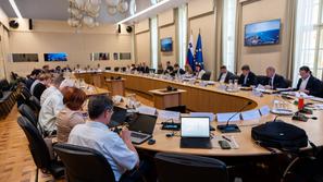 seja ekonomsko socialnega sveta