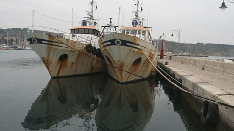 Ceh ribičev je v sporočilu za javnost zapisal, da zahtevajo zaščito hrvaških rib