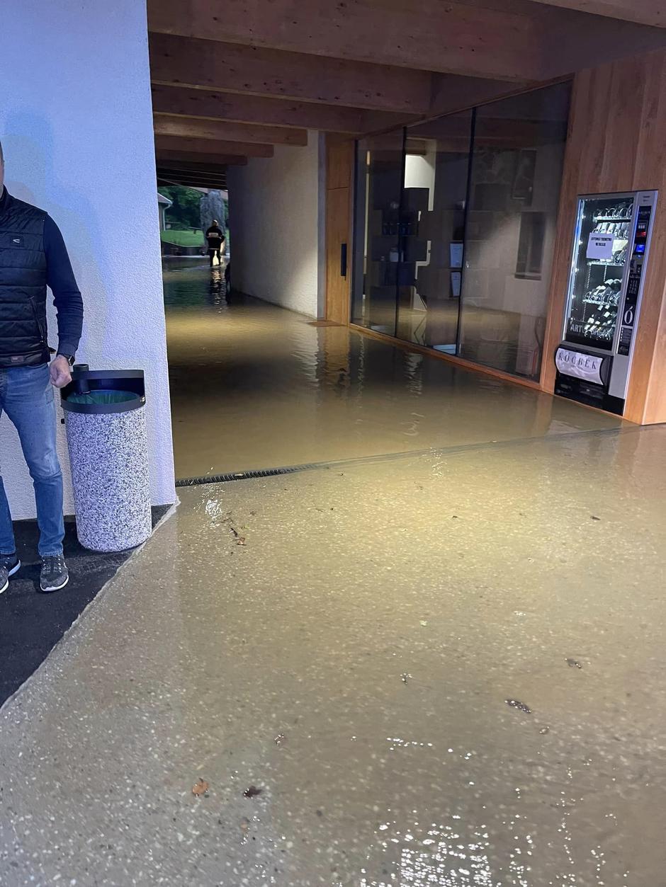 miša margan | Avtor: Facebook